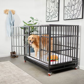 Ultimate Foldable and Stackable Heavy Duty Steel Metal Single Door Dog Crate