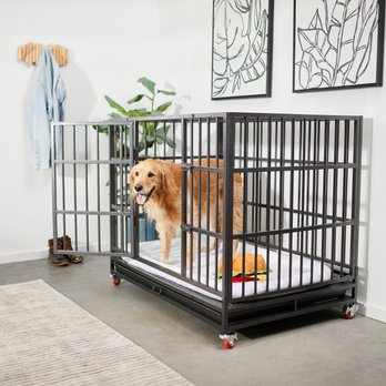 Frisco Ultimate Foldable and Stackable Heavy Duty Steel Metal Single Door Dog Crate