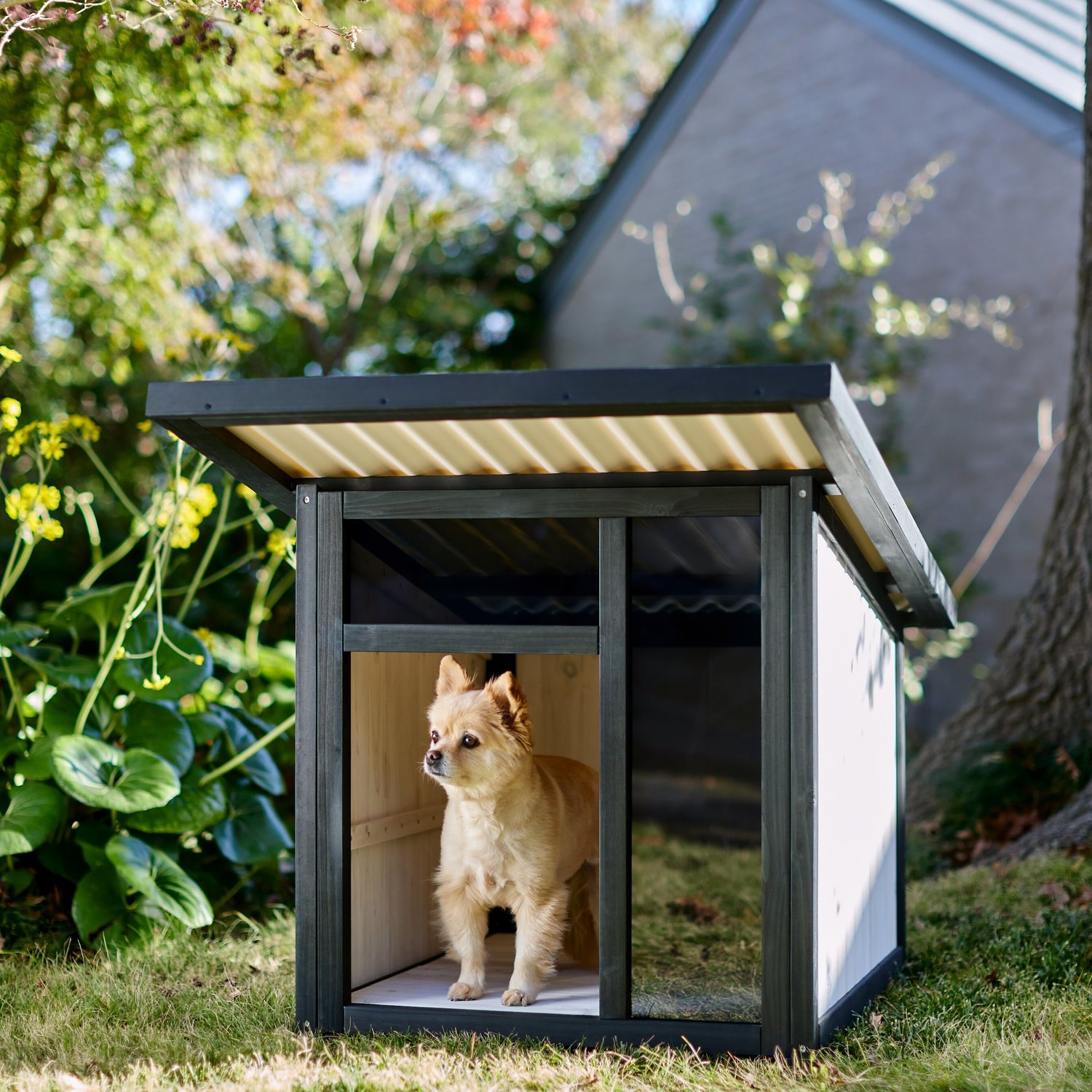 FRISCO Modern Wooden Outdoor Dog House, White, Medium - Chewy.com