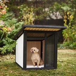 Frisco Modern Wooden Outdoor Dog House, White