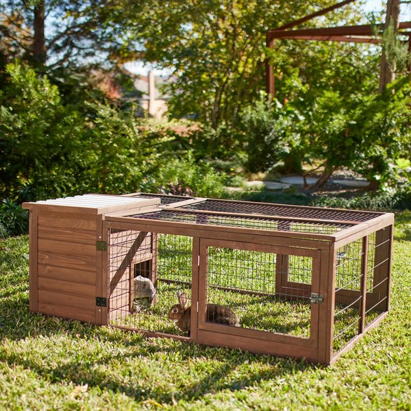 8 Best Rabbit Hutches 2023: According to Reviews | Chewy