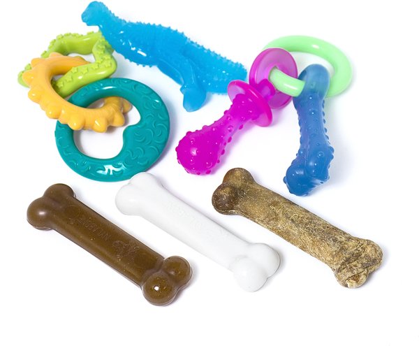 Nylabone Puppy Starter Kit with Chew Toys, Teething Kit & Chew Treat, Small slide 1 of 10