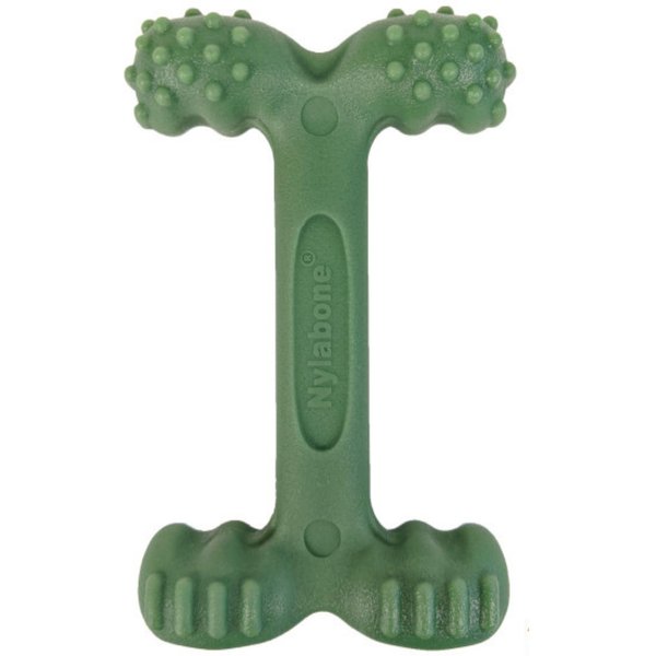 NYLABONE Puppy Gourmet Style Strong Chew Dog Toys, Bacon, Chicken