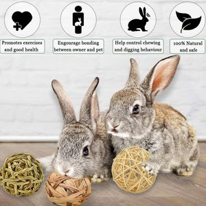 SunGrow Rabbit Assorted Chew Ball Treats Cat & Guinea Pig Teeth Cleaning & Grinder, 3 Count