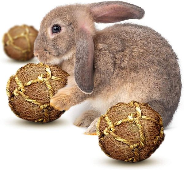 SunGrow Coconut Fiber Rabbit & Guinea Pigs Chew & Exercise Balls Teeth Grinding Treat, 3 count slide 1 of 6