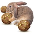SunGrow Coconut Fiber Rabbit & Guinea Pigs Chew & Exercise Balls, Teeth Grinding Treats For Small animals in Cage, 3 count