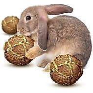 SunGrow Coconut Fiber Rabbit & Guinea Pigs Chew & Exercise Balls Teeth Grinding Treat, 3 count