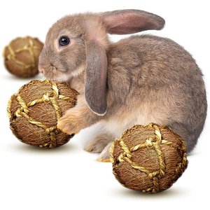 SunGrow Coconut Fiber Rabbit & Guinea Pigs Chew & Exercise Balls Teeth Grinding Treat, 3 count