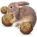 SunGrow Coconut Fiber Rabbit & Guinea Pigs Chew & Exercise Balls, Teeth Grinding Treats for Small animals in Cage, 3 count