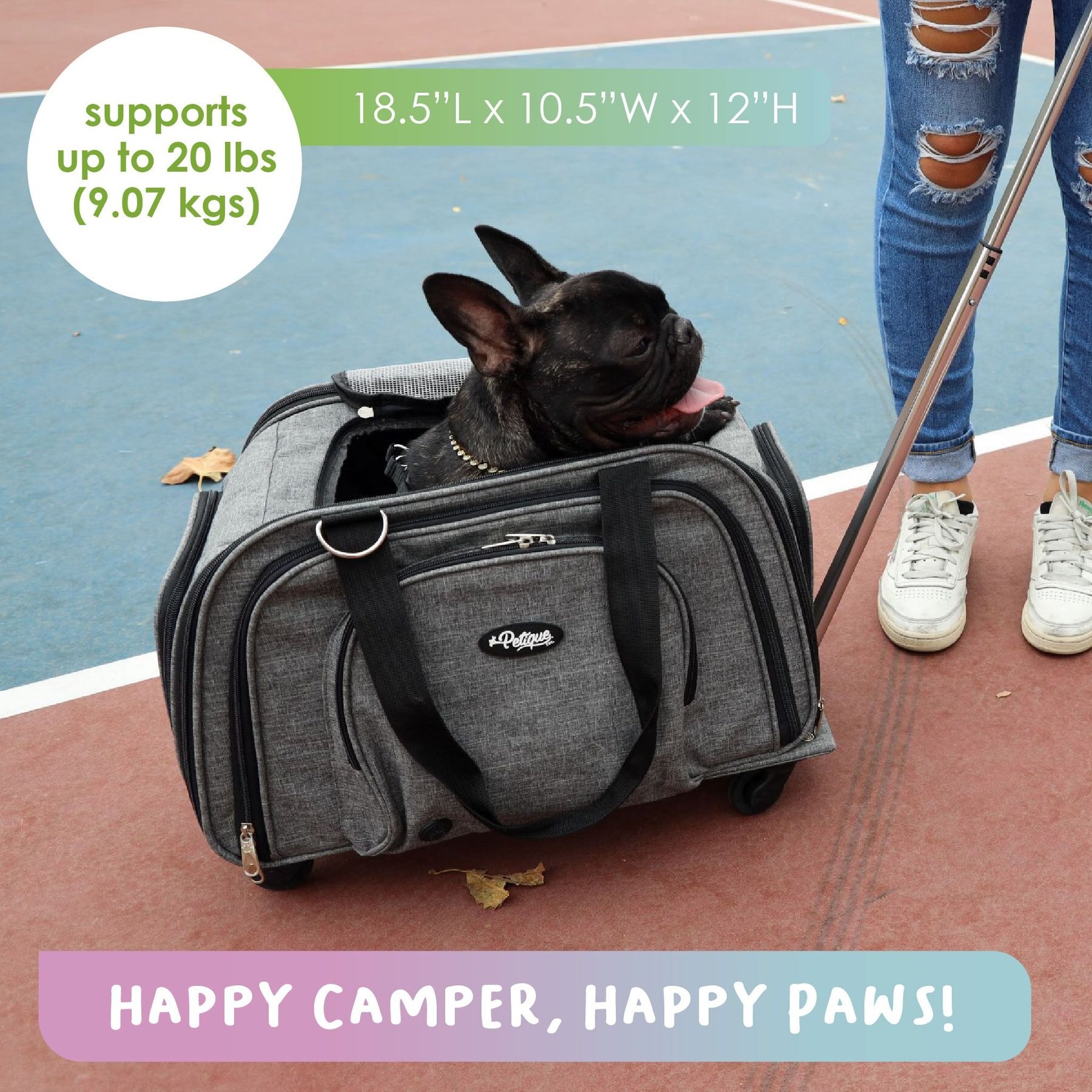 Petique 5-in-1 Travel Pet Carrier (Pet Carrier Only) for Dog/Cat/Small  Animal