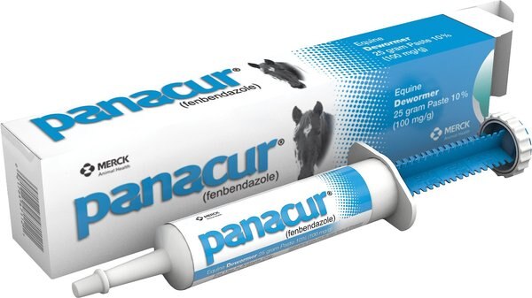 Panacur Equine Paste 10% Horse Dewormer, 25g, 3 count slide 1 of 5