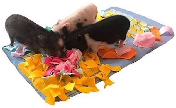 Piggy Poo and Crew Pig Rooting Snuffle Mat, Medium, 2 count slide 1 of 4
