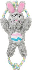 Frisco Plush with Rope Squeaking Bunny Dog Toy, Medium/Large