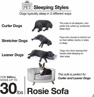 Show full view: Enchanted Home Pet Rosie Sofa Cat & Dog Bed with Removable Cover, Peacock Blue slide 7 of 11