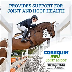 Nutramax Cosequin Pellets Joint & Hoof Joint Health Supplement for Horses, 1200-grams slide 2 of 3