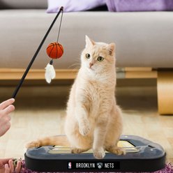 Pets First NBA Basketball Court Cat Scratcher Toy with Catnip, Brooklyn Nets slide 2 of 2