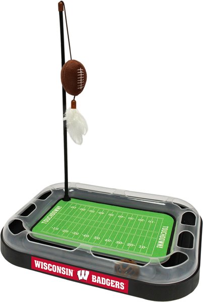 Pets First Wisconsin Football Cat Scratcher Toy with Catnip slide 1 of 1