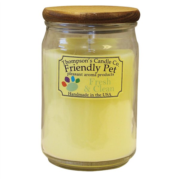 Thompson's Candle Co. Fresh & Clean Scented Friendly Pet Candle slide 1 of 1