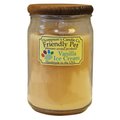 Thompson's Candle Co. Vanilla Ice Cream Scented Friendly Pet Candle