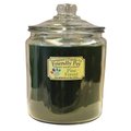 Thompson's Candle Co. Pine Forest Scented Friendly Pet Heritage Jar 3 Wick Candle 