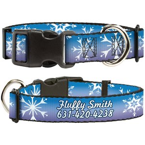 Buckle-Down Disney Frozen II Snowflakes Polyester Personalized Dog Collar, Small
