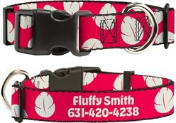 Buckle-Down Disney Lilo & Stitch Bounding Lilo Dress Leaves Polyester Personalized Dog Collar, Small