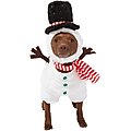 Frisco Front Walking Snowman Dog & Cat Costume, X-Small