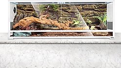OiiBO Glass Screen Ventilation Reptile Terrarium
