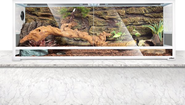 OiiBO Glass Screen Ventilation Reptile Terrarium slide 1 of 6