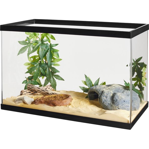HERPCULT Acrylic Insect & Reptile Terrarium, Clear Top, X-Large - Chewy.com