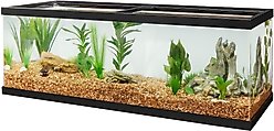 Glasscages Acrylic Fish Aquarium, 36 x 12.5-in