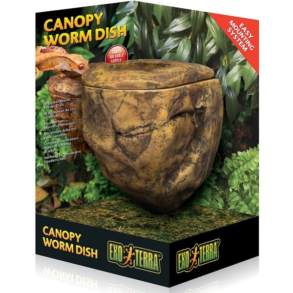 ZILLA Vertical Decor Mushroom Feeding Ledge