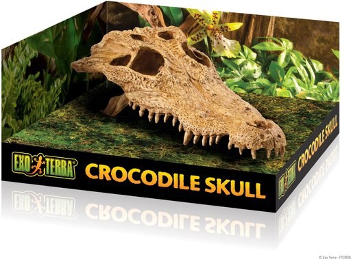 Exo Terra Croc Skull Repile Terrarium Decor
