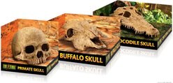 Exo Terra Buffalo Skull Terrarium Décor slide 2 of 5