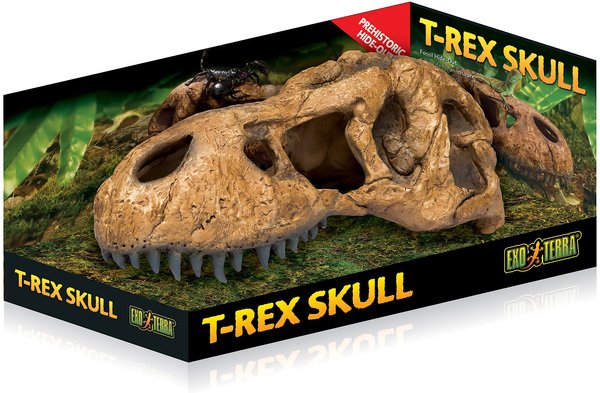 Exo Terra T-Rex Skull Reptile Terrarium Décor slide 1 of 3