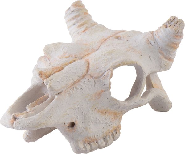 Exo Terra Buffalo Skull Reptile Hideout slide 1 of 1
