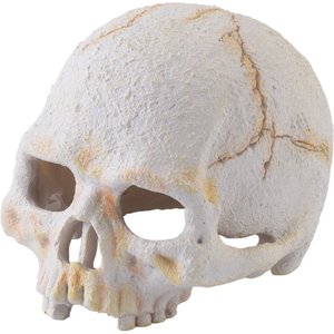 Exo Terra Primate Skull Reptile Hideout