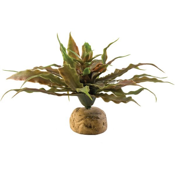 EXO TERRA Cholla Cactus Skeleton Reptile Terrarium Plant, Large