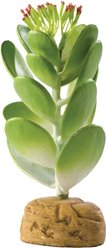 Exo Terra Jade Cactus Reptile Terrarium Plant