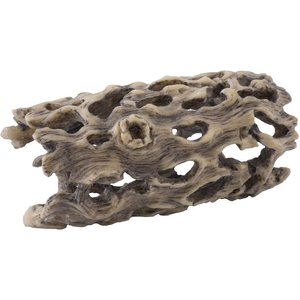 Exo Terra Cholla Cactus Skeleton Reptile Terrarium Plant, Small