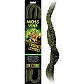 Exo Terra Bendable Moss Vine Reptile Terrarium Décor, Large