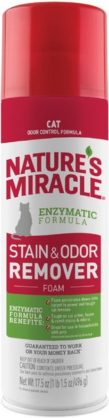 Nature's Miracle Advanced Cat Enzymatic Stain Remover & Odor Eliminator Foam