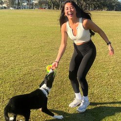 Avo Doggo Avocado Dog Tug Toy slide 2 of 9