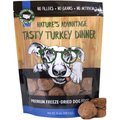 Nature's Advantage Grain-Free Tasty Turkey Dinner Dry Dog Food, 14-oz bag