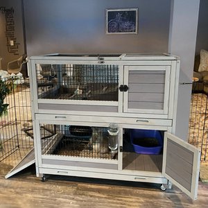 Aivituvin 39-in Indoor & Outdoor Wheeled Rabbit Cage