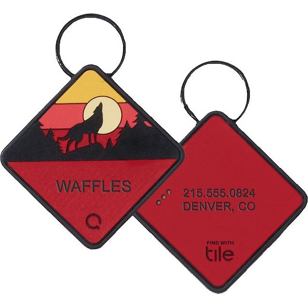 QALO Foxfire Classic Round Personalized Dog ID Tag