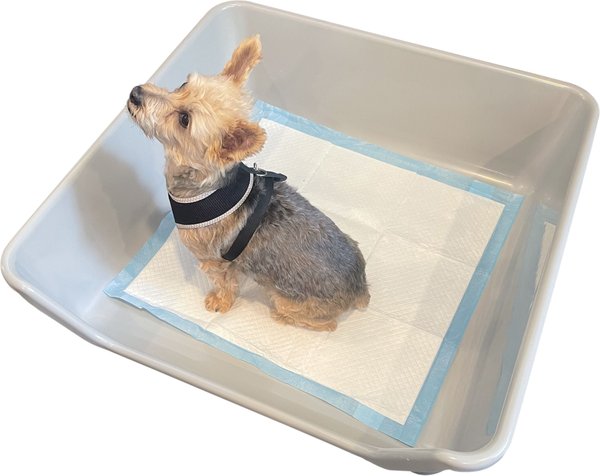 Shirley K's Indoor Dog Potty Tray, X-Large, Gray slide 1 of 8