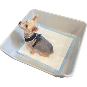 4 Best Pee Pad Holders For Dogs (13+ Tested & Reviewed) - Dog Lab