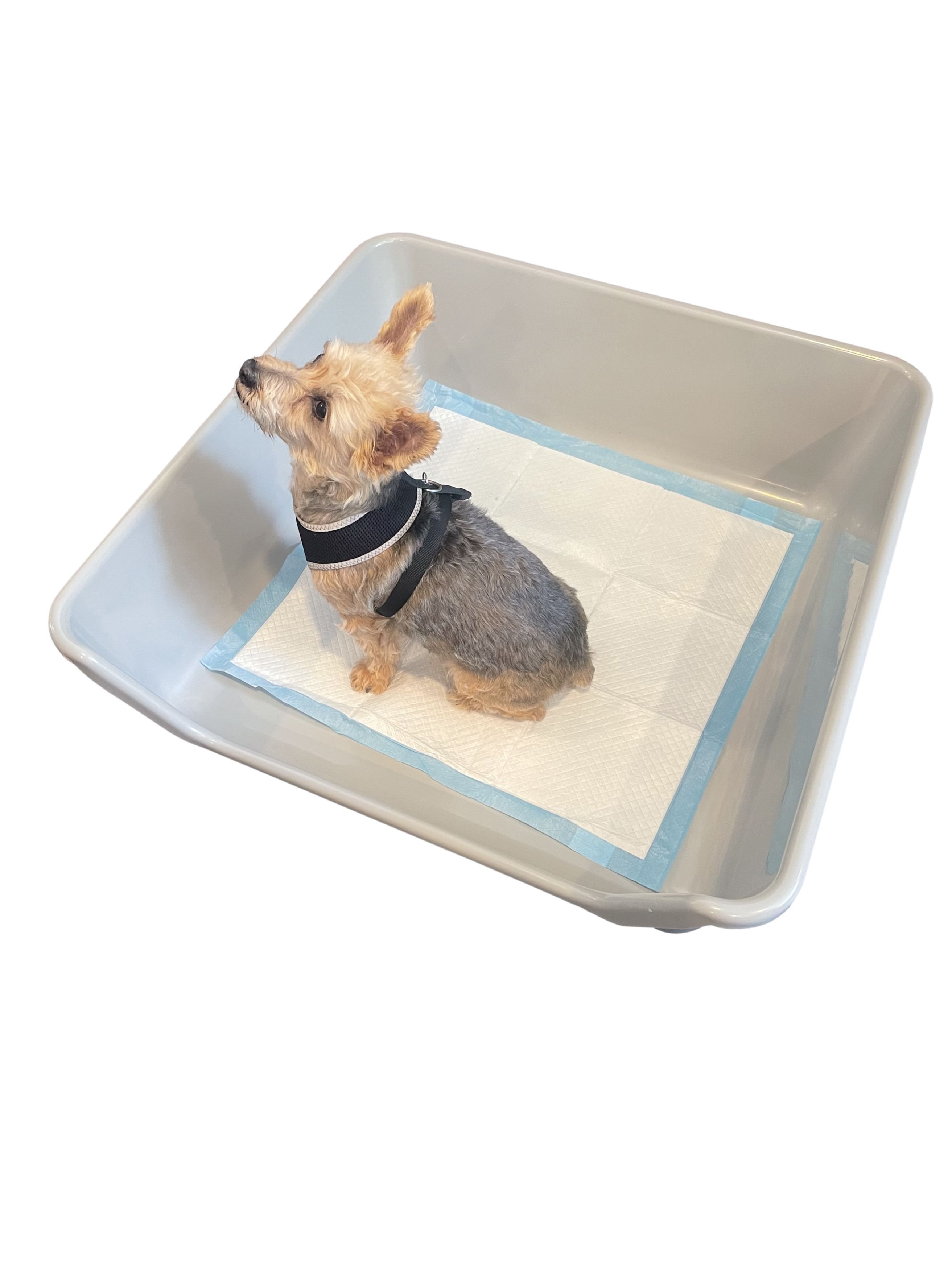 SHIRLEY K'S Indoor Dog Potty Tray, XLarge Customer Questions