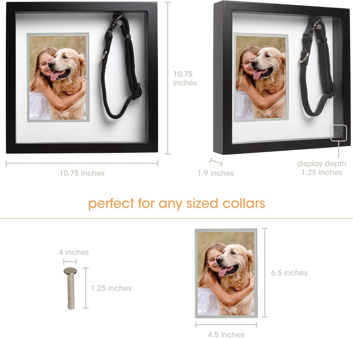 Pet collar outlet frame